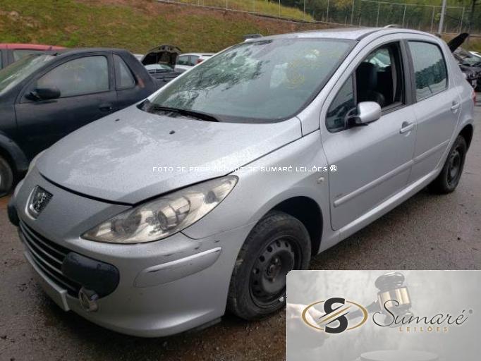 PEUGEOT 307 10/11